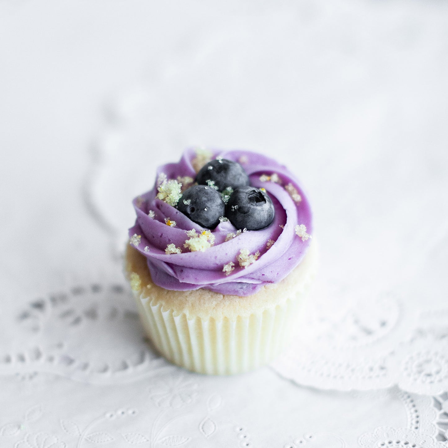 Blueberry Cupcakes: June & July Special
